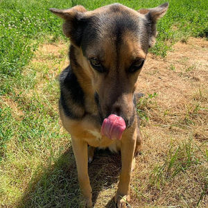 Meet your Posher, Tanner